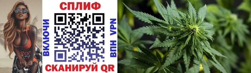 Где купить наркоту Великие Луки APVP Cocaine Codein Меф Каннабис ГАШИШ
