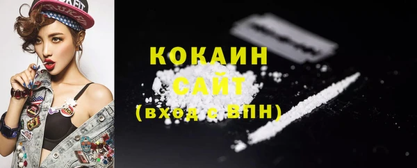 тгк Богданович