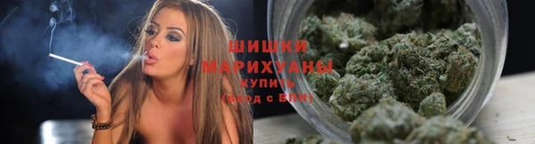 спиды Богородск