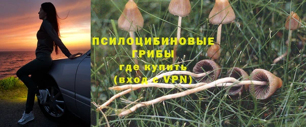 прущая мука Белокуриха