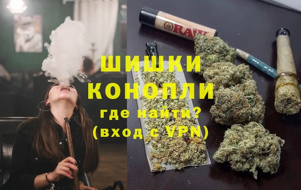 дмт Богородицк