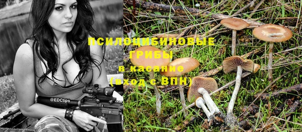 соль ск Бородино