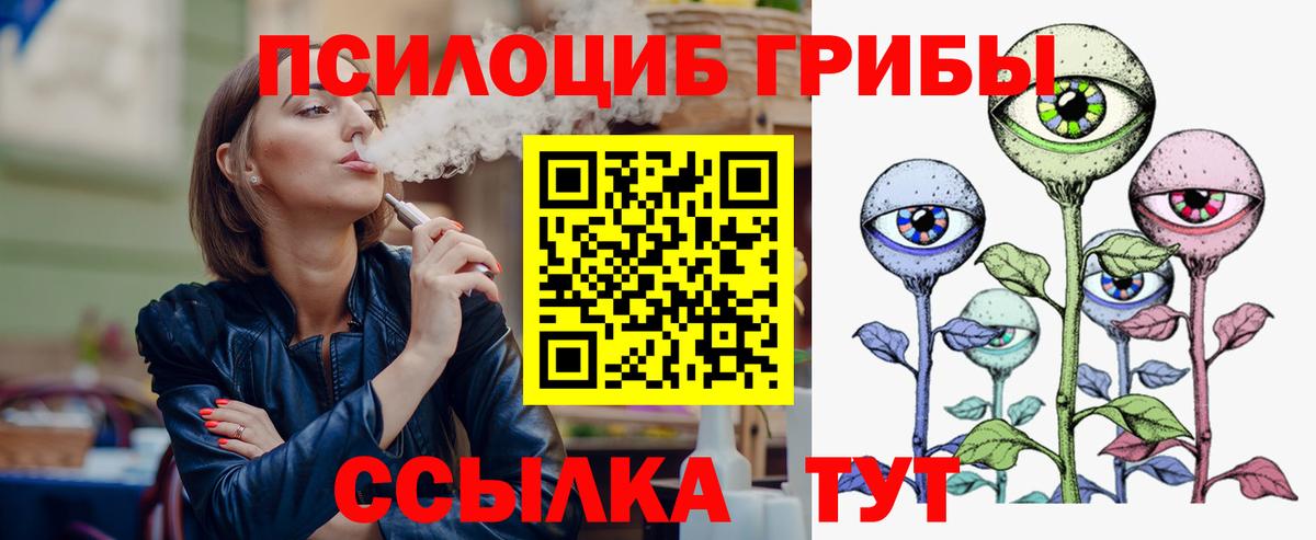 Псилоцибиновые грибы Psilocybine cubensis Великие Луки